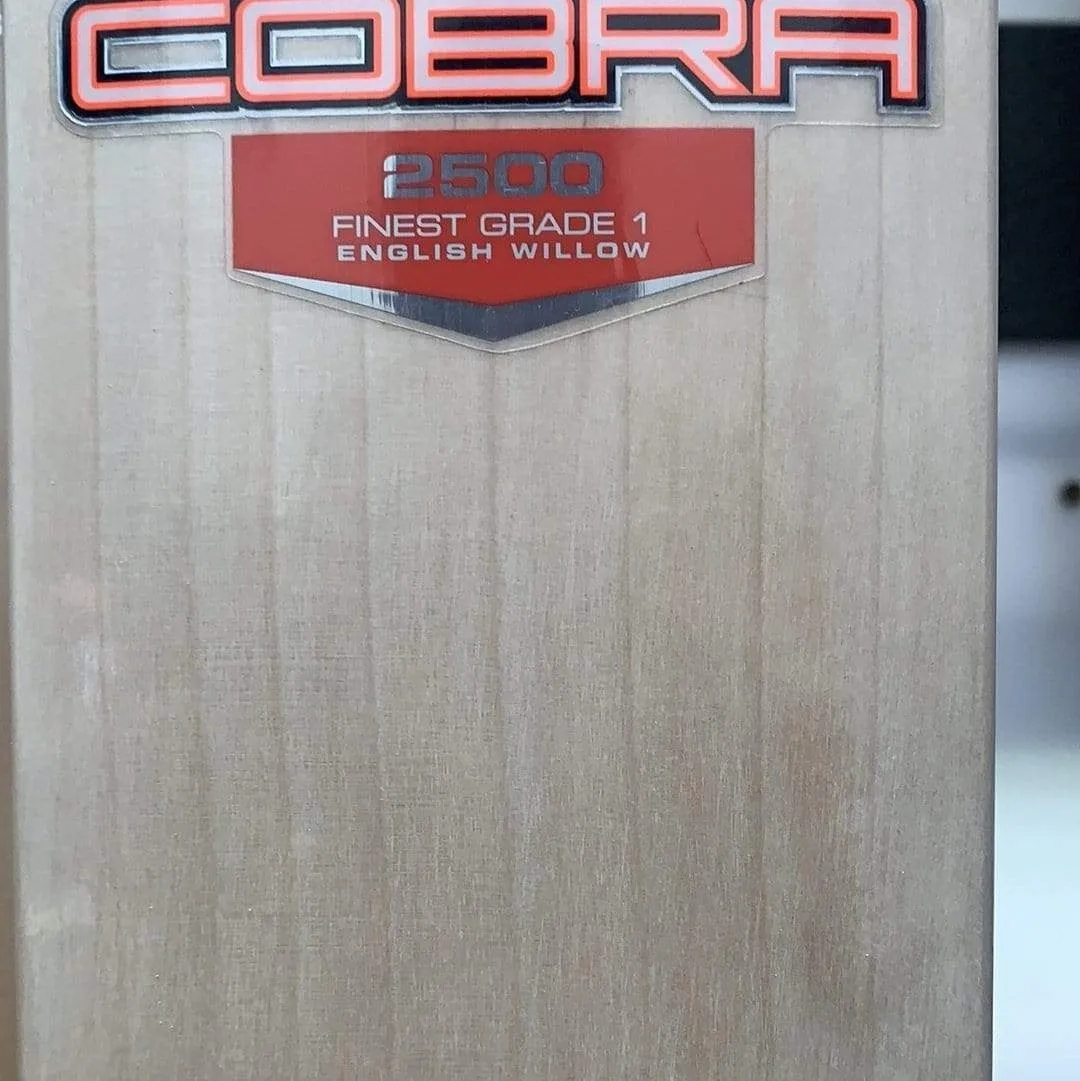 Gray Nicolls Cobra 2500 Adult Cricket Bat